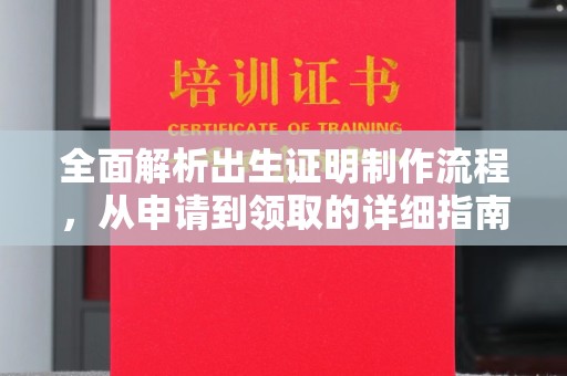 友谊全面解析出生证明制作流程，从申请到领取的详细指南